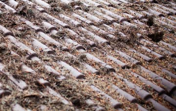 Kingsthorpe Hollow roof cleaning companies